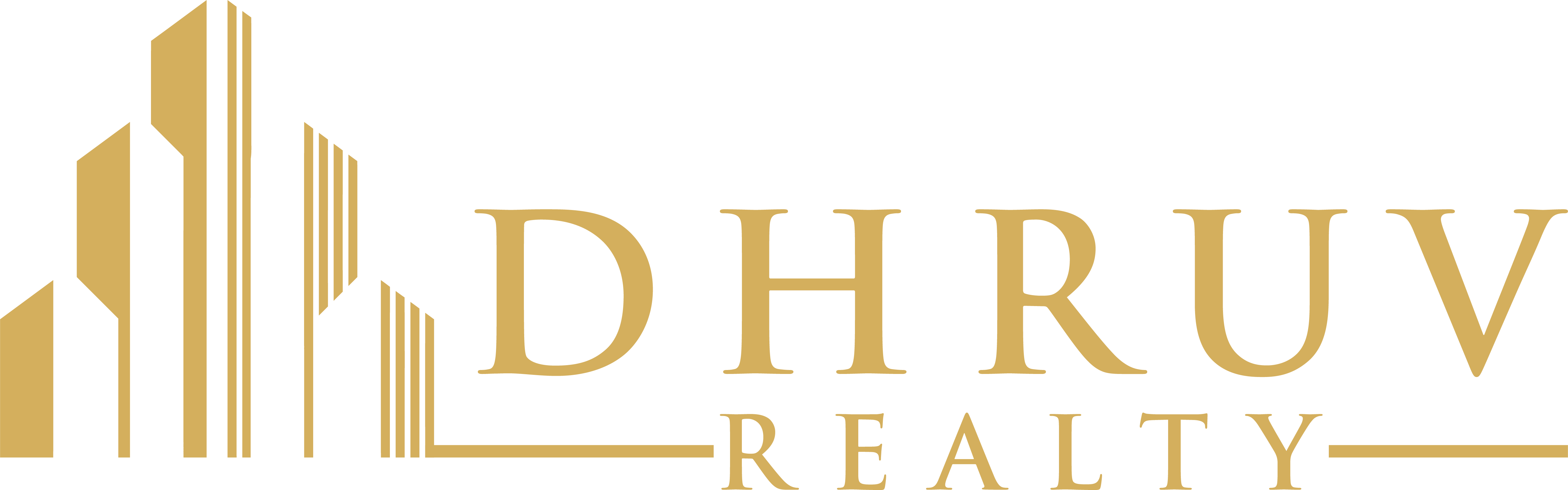 Dhruv Realty